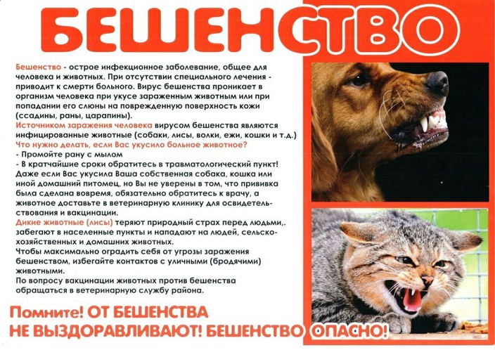 ОСТОРОЖНО БЕШЕНСТВО!.