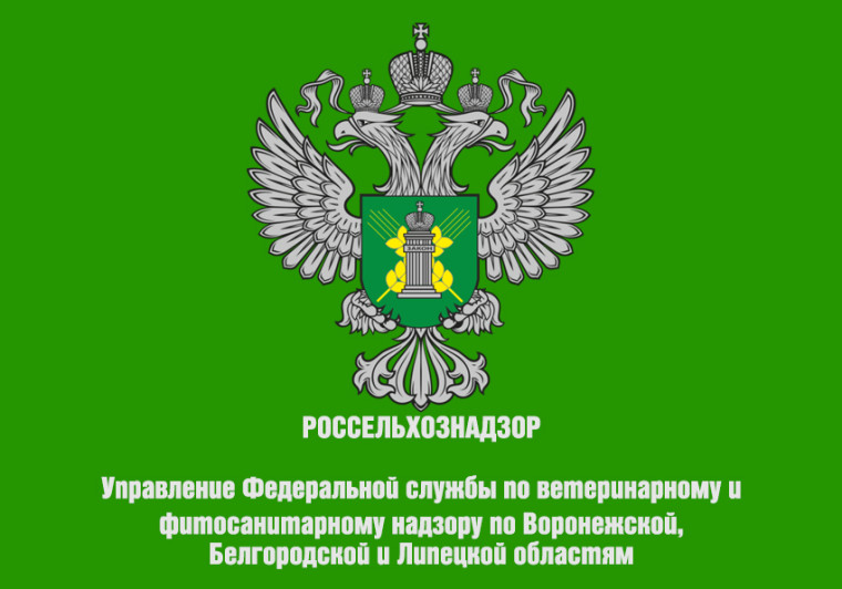 Управление Россельхознадзора по Воронежской, Белгородской и Липецкой областям сообщает.