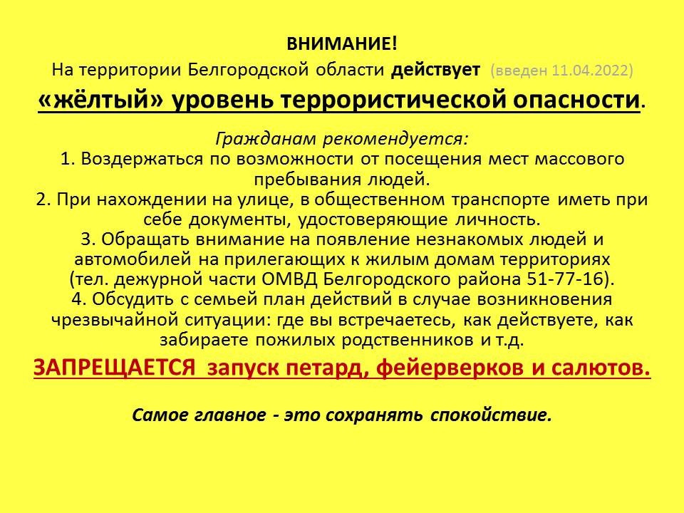 В Белгородской области до 21 декабря под запретом останутся салюты, петарды и прочая громкая пиротехника..