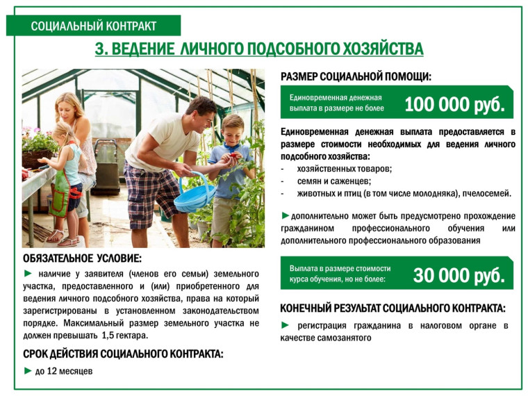 Социальный контракт. Социальный контракт.