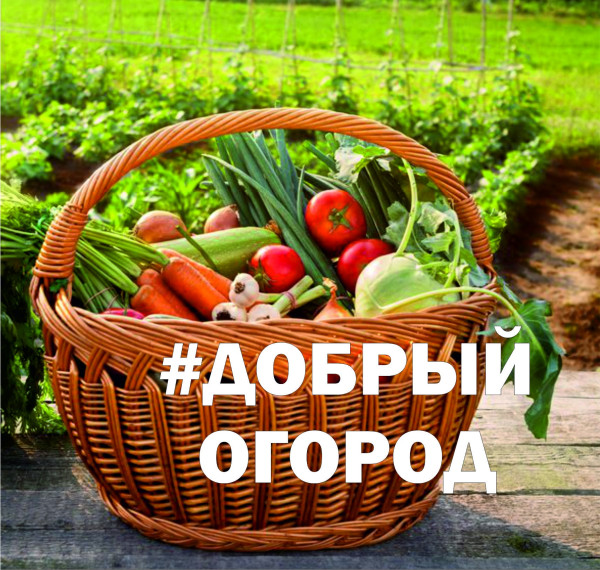 Всероссийский социальный проект "Добрый огород". Всероссийский социальный проект "Добрый огород".