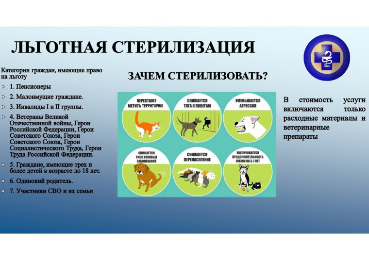 Наличие животных без владельцев на улицах является актуальной проблемой на сегодняшний день. ОСВВ (Отлов - Стерилизация - Вакцинация - Возврат) это эффективный метод снижения численности безнадзорных животных. Наличие животных без владельцев на улицах является актуальной проблемой на сегодняшний день. ОСВВ (Отлов - Стерилизация - Вакцинация - Возврат) это эффективный метод снижения численности безнадзорных животных.
