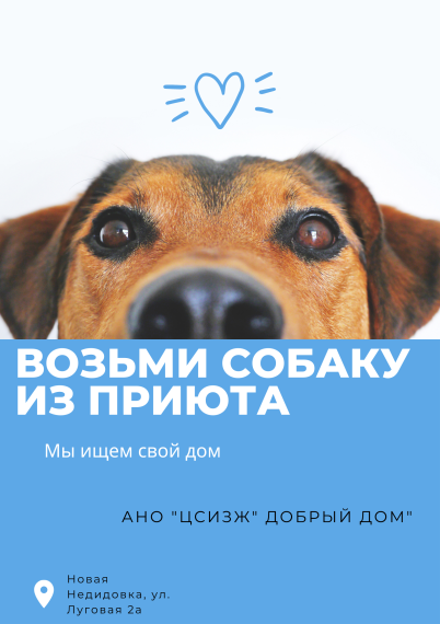 Напоминаем о действующем законодательстве о гуманном обращении в отношении животных без владельцев. Напоминаем о действующем законодательстве о гуманном обращении в отношении животных без владельцев.