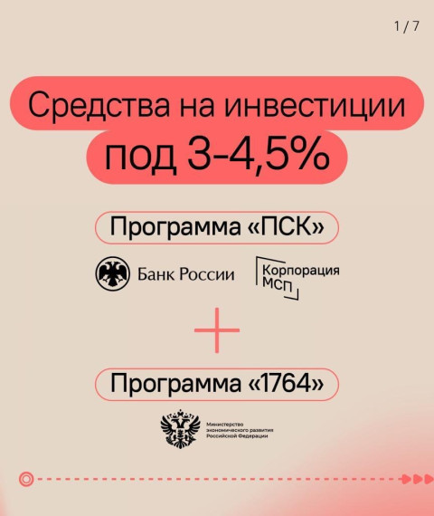 МСП. МСП.