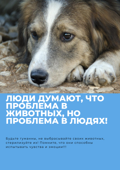 Будьте гуманны, не выбрасывайте своих животных, стерилизуйте их! Помните, что они способны испытывать чувства и эмоции!!!. Будьте гуманны, не выбрасывайте своих животных, стерилизуйте их! Помните, что они способны испытывать чувства и эмоции!!!.