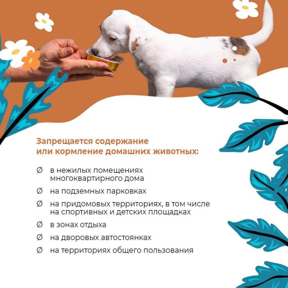 Владельцам домашних животных запрещается содержание домашних животных в нежилых помещениях многоквартирного дома. Владельцам домашних животных запрещается содержание домашних животных в нежилых помещениях многоквартирного дома.