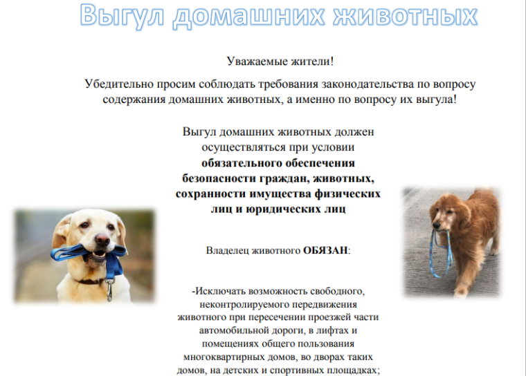 Выгул домашних животных. Выгул домашних животных.