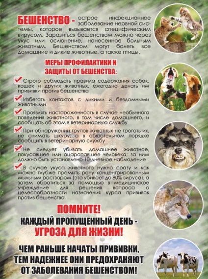 Памятка о мерах профилактики заразных, в том числе особо опасных и общих для человека и животных болезней. Памятка о мерах профилактики заразных, в том числе особо опасных и общих для человека и животных болезней.