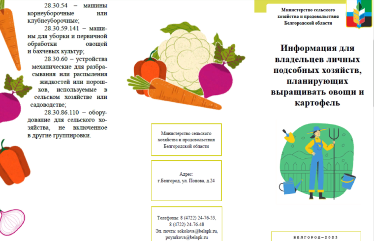 Информация для владельцев личных подсобных хозяйств, планирующих выращивать овощи и картофель. Информация для владельцев личных подсобных хозяйств, планирующих выращивать овощи и картофель.