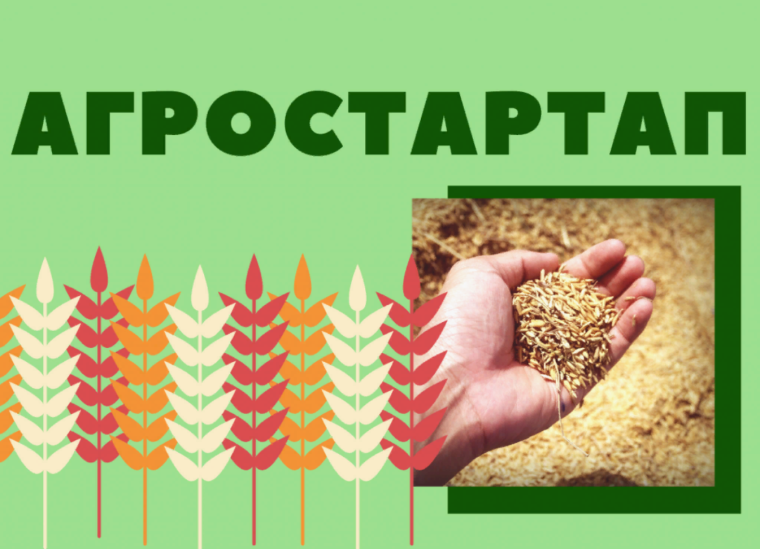 О проведении в 2024 году конкурса по отбору граждан и крестьянских (фермерских) хозяйств или индивидуальных предпринимателей для предоставления грантов "Агростартап". О проведении в 2024 году конкурса по отбору граждан и крестьянских (фермерских) хозяйств или индивидуальных предпринимателей для предоставления грантов "Агростартап".