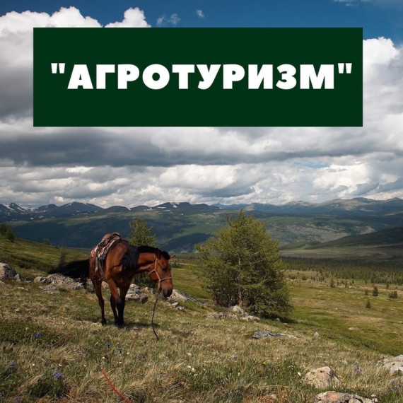 о проведении в 2024 году конкурса по предоставлению грантов "Агротуризм". о проведении в 2024 году конкурса по предоставлению грантов "Агротуризм".